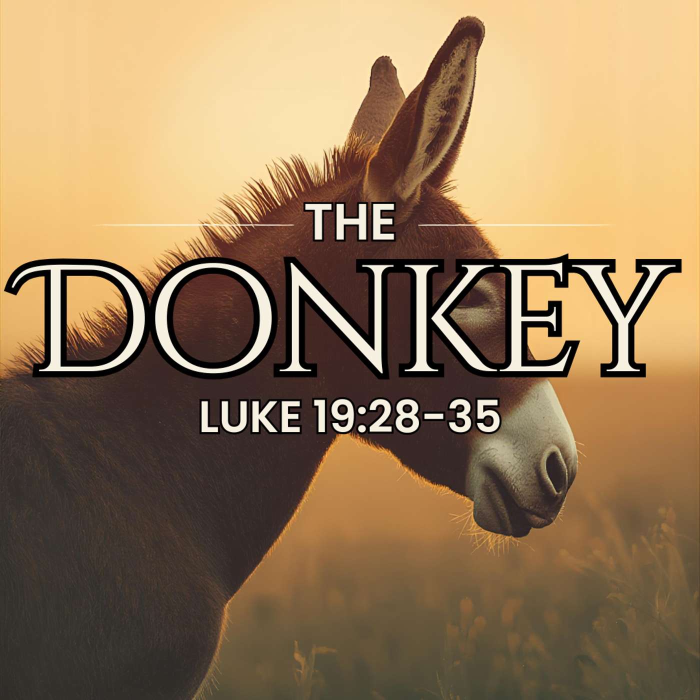 The Donkey: Luke 19:28-36 episode artwork