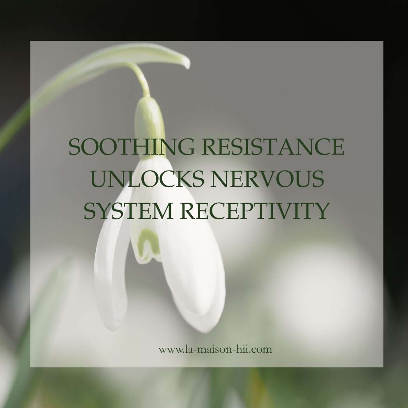 15. Soothing Resistance Unlocks Nervous System Receptivity episode artwork