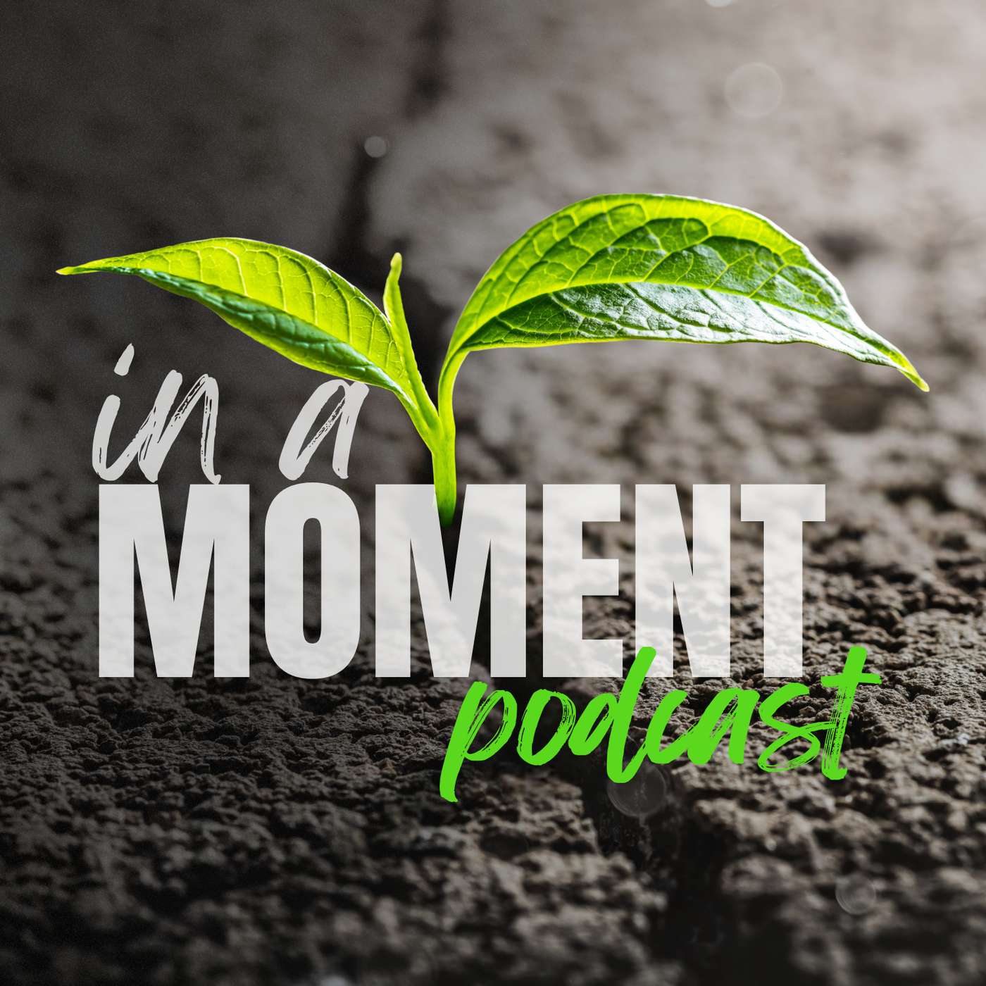 In a Moment cover art