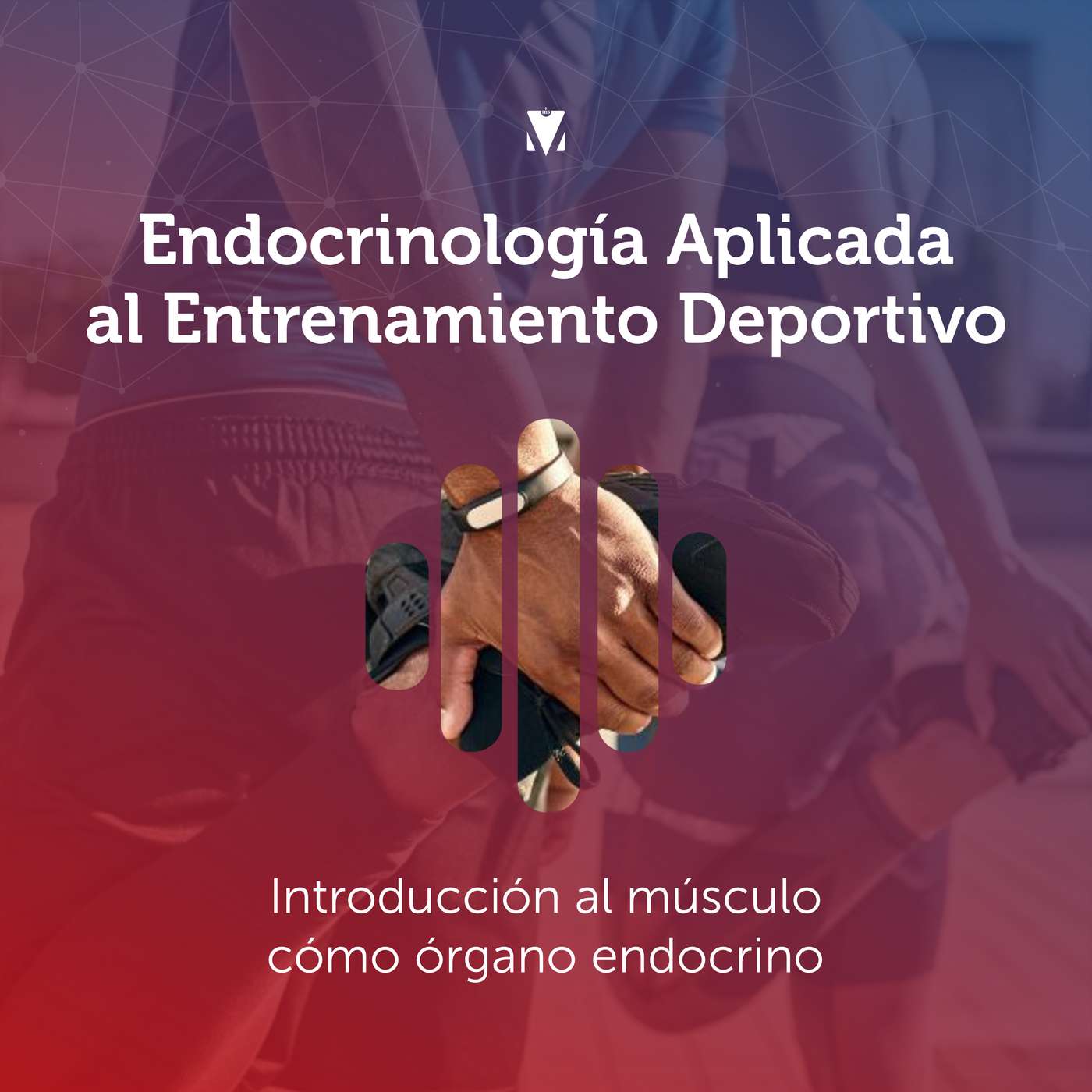 13 - ENDOCRINOLOGÍA APLICADA AL ENTRENAMIENTO DEPORTIVO: Introducción al músculo como órgano endocrino episode artwork