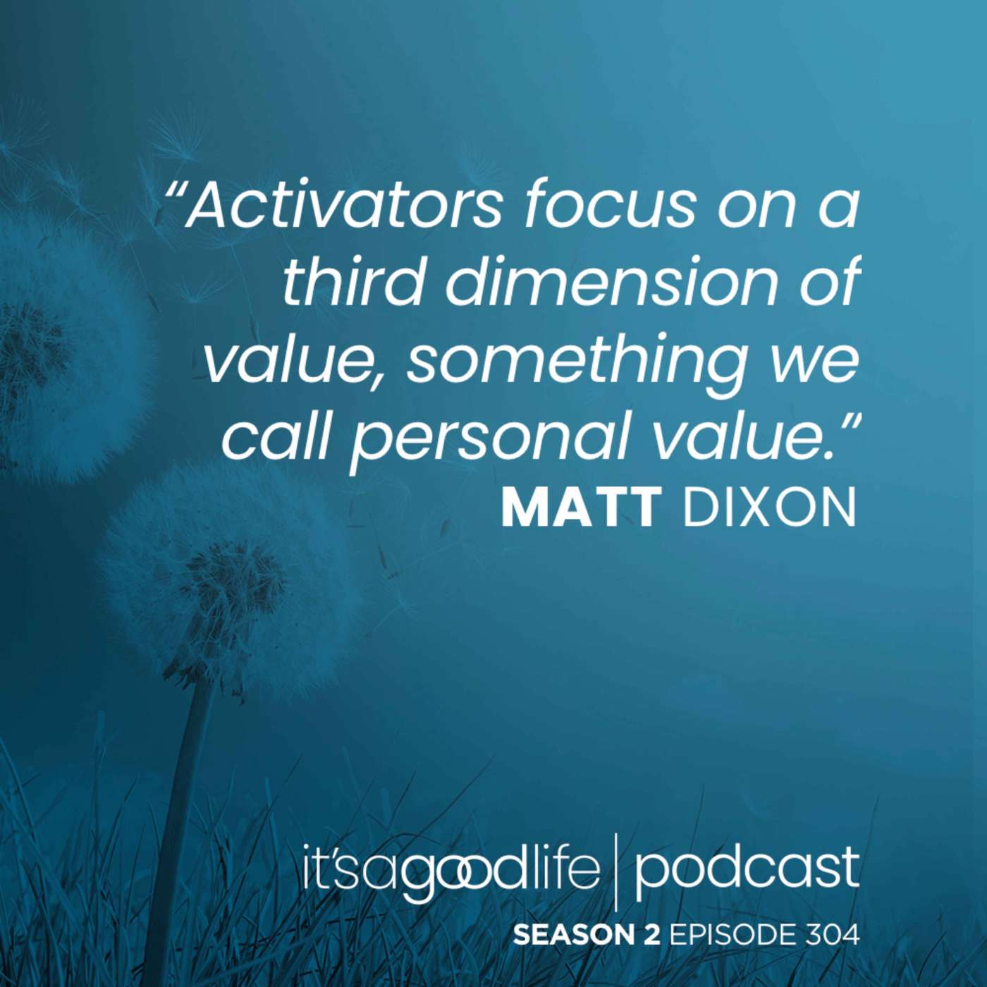 S2E304 How to Accelerate Your Business - The Activator Advantage with Matt Dixon