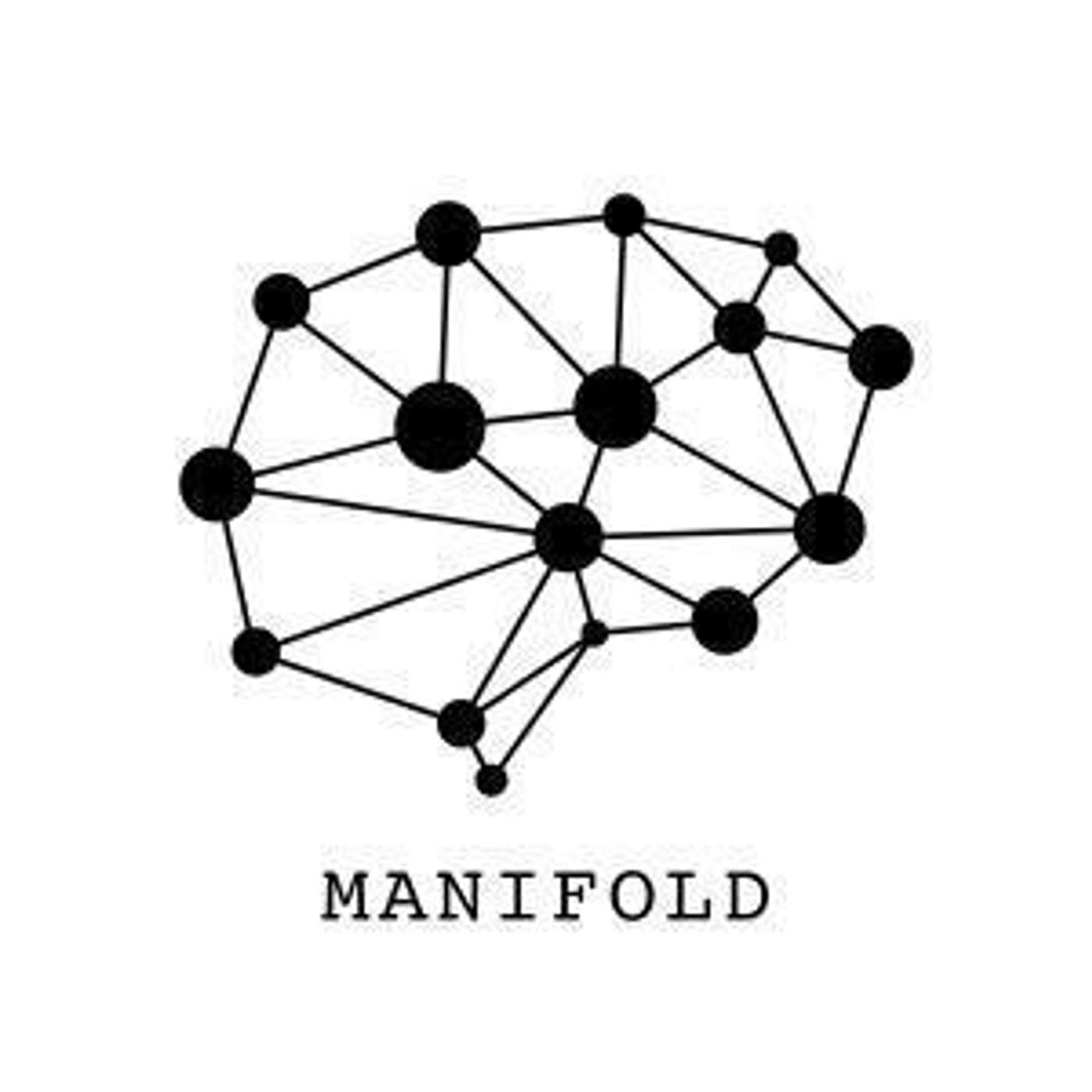 Manifold
