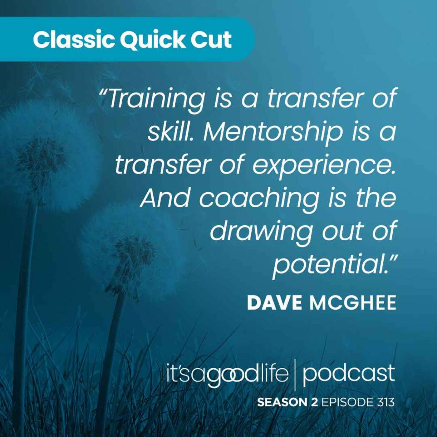 Quick Cut: S2E313 Lessons from the Coaching Floor