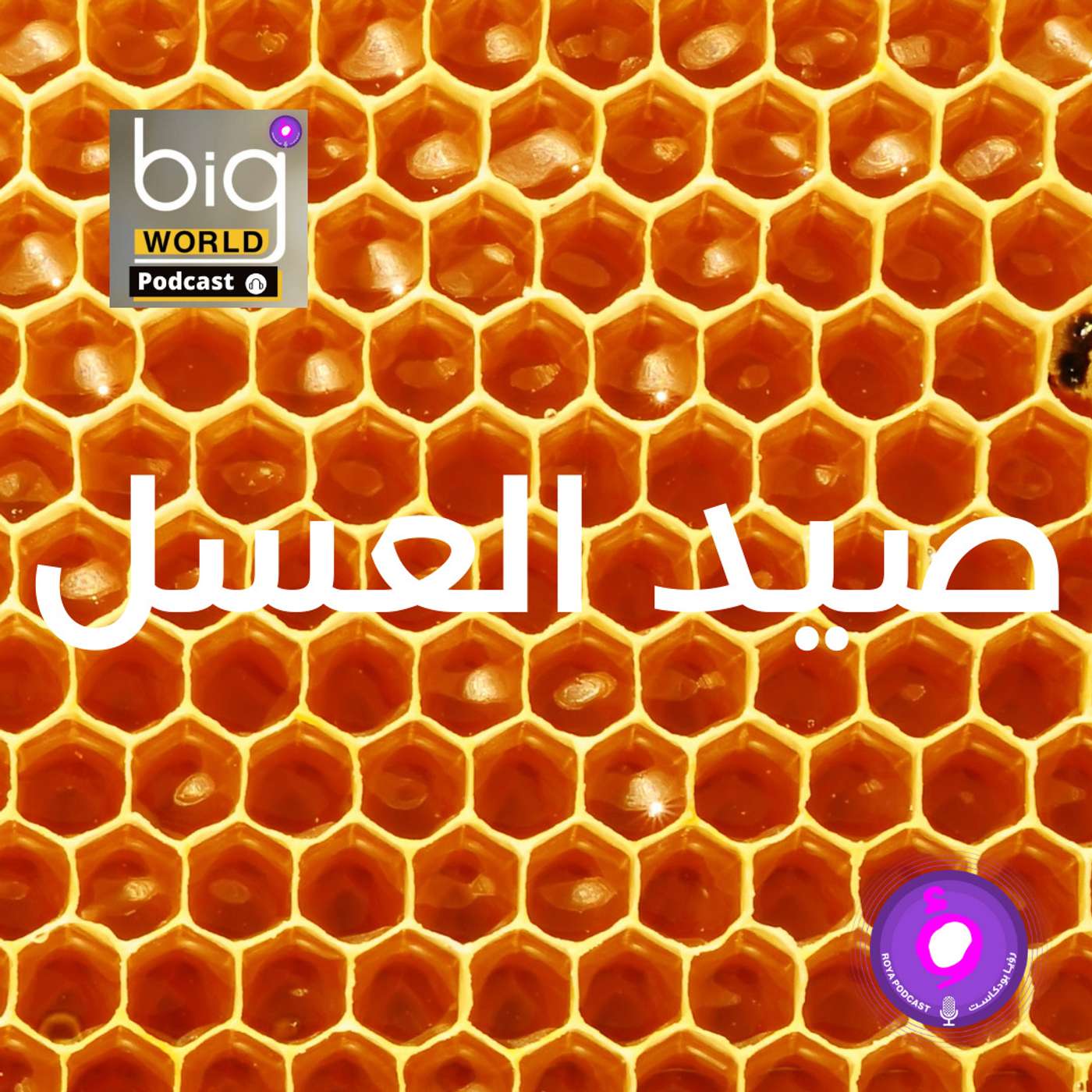 سلسلة العالم الكبير - صيد العسل episode artwork