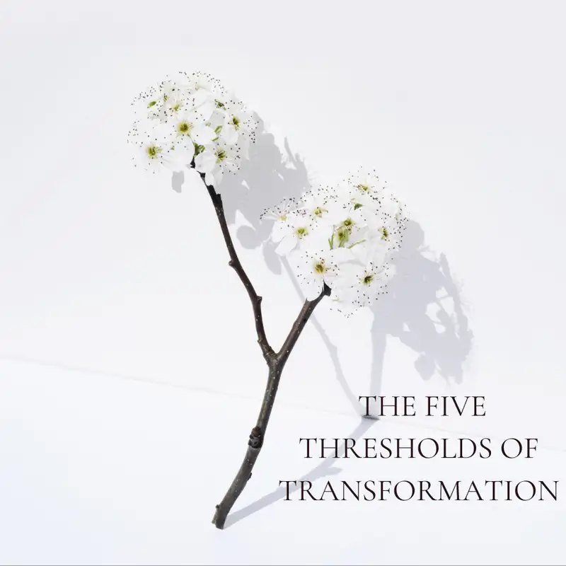  38. The Five Thresholds of Transformation