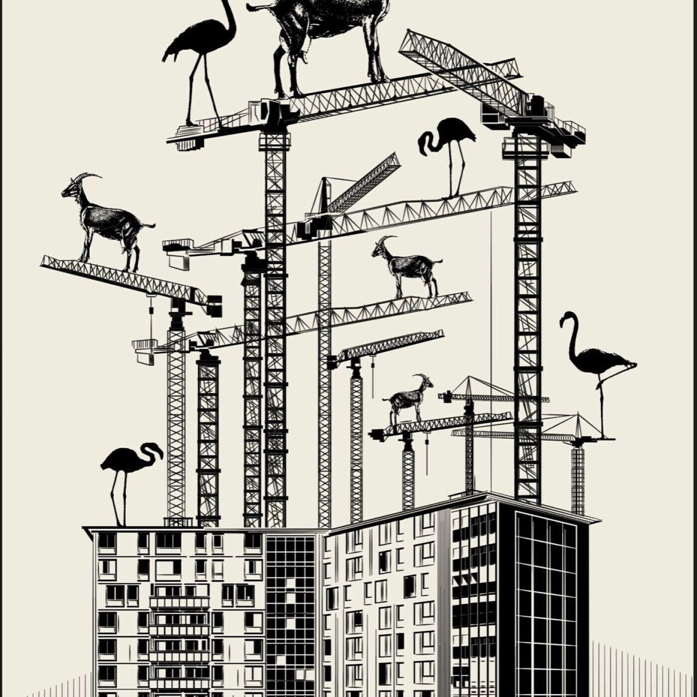 Chronique d'une ville éphémère #8 - Ferme pédagogique de Sainte-Marthe avec Marie Maurage, éleveuse