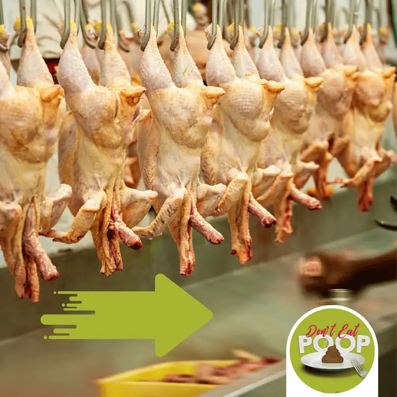 When Dead Chickens Fly: The Current Issue With American Chicken Processing Plants | Episode 110