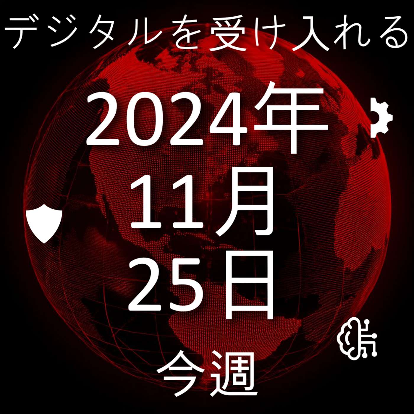 2024年11月25日