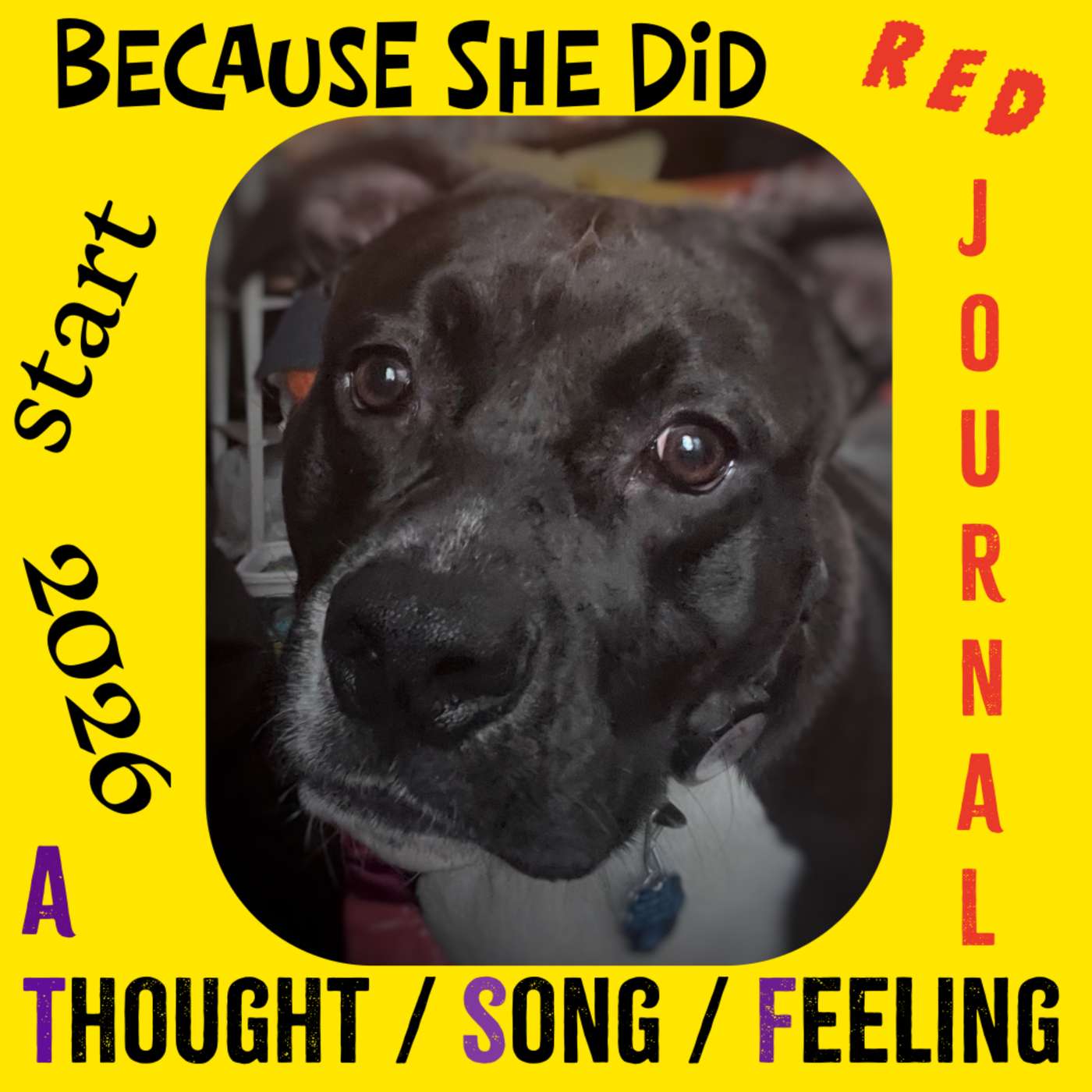 Because She Did: Red Journal Podcast cover art