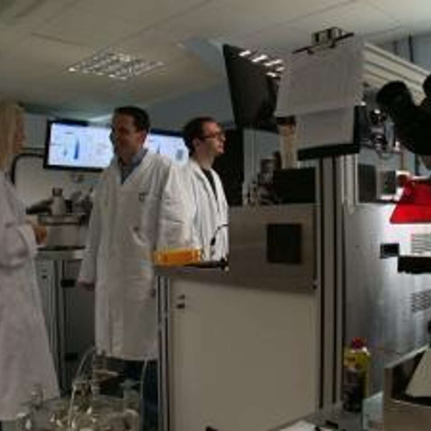 The role of sexed semen in Irish dairy herds