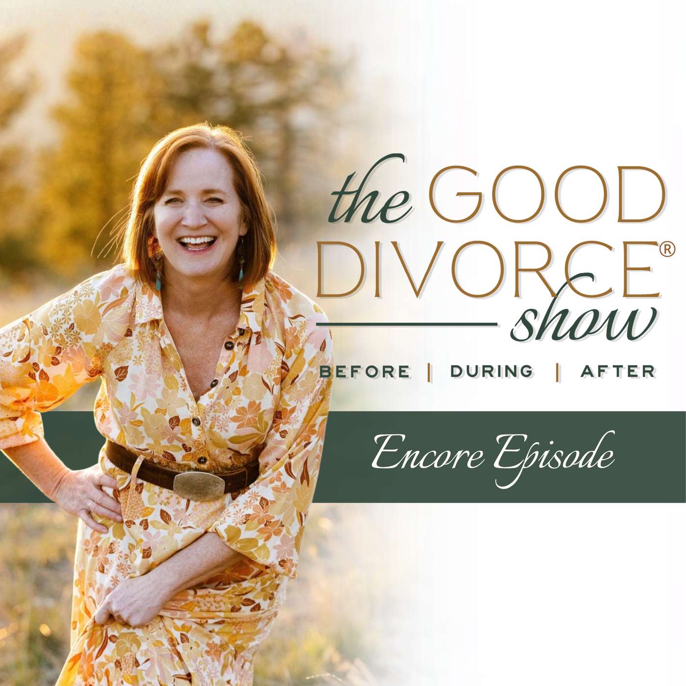 Summer Encore: What Happens When the Marriage Ends and the Band Breaks Up? episode artwork