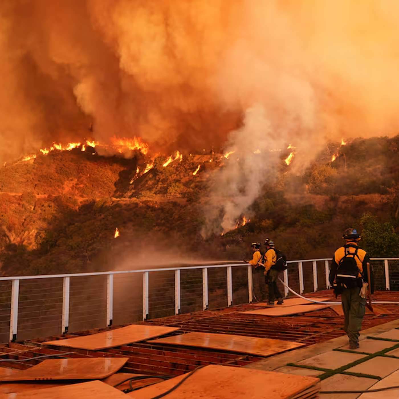 Climate Action Falls Short, Microglial Shift Targets Alzheimer’s, Hypertensive Pregnancy Tied to Heart Risk, Wadisuchus Fossils Rewrite Crocodile Evolution, and more...