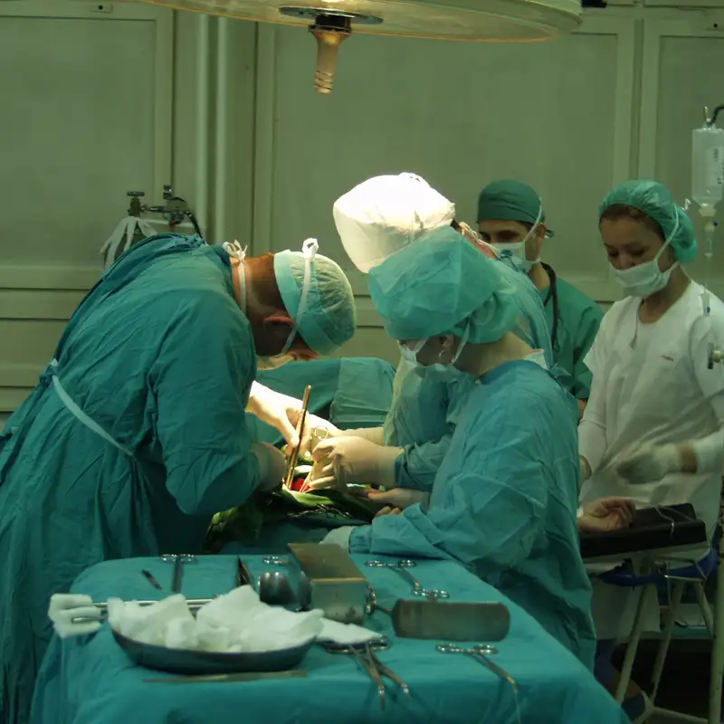 The Heartsick Cardiologist