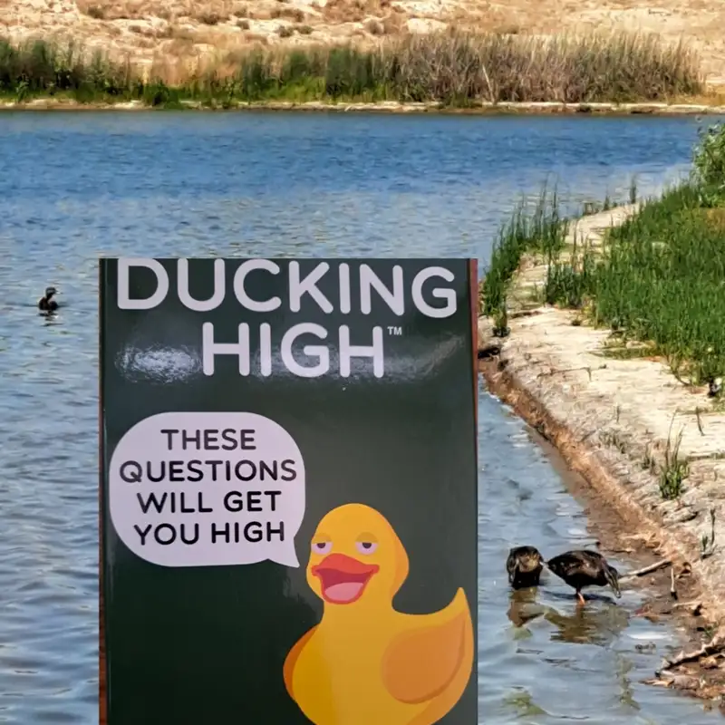 Duck Me, Duck You, Duck Around & Find Out pt.1