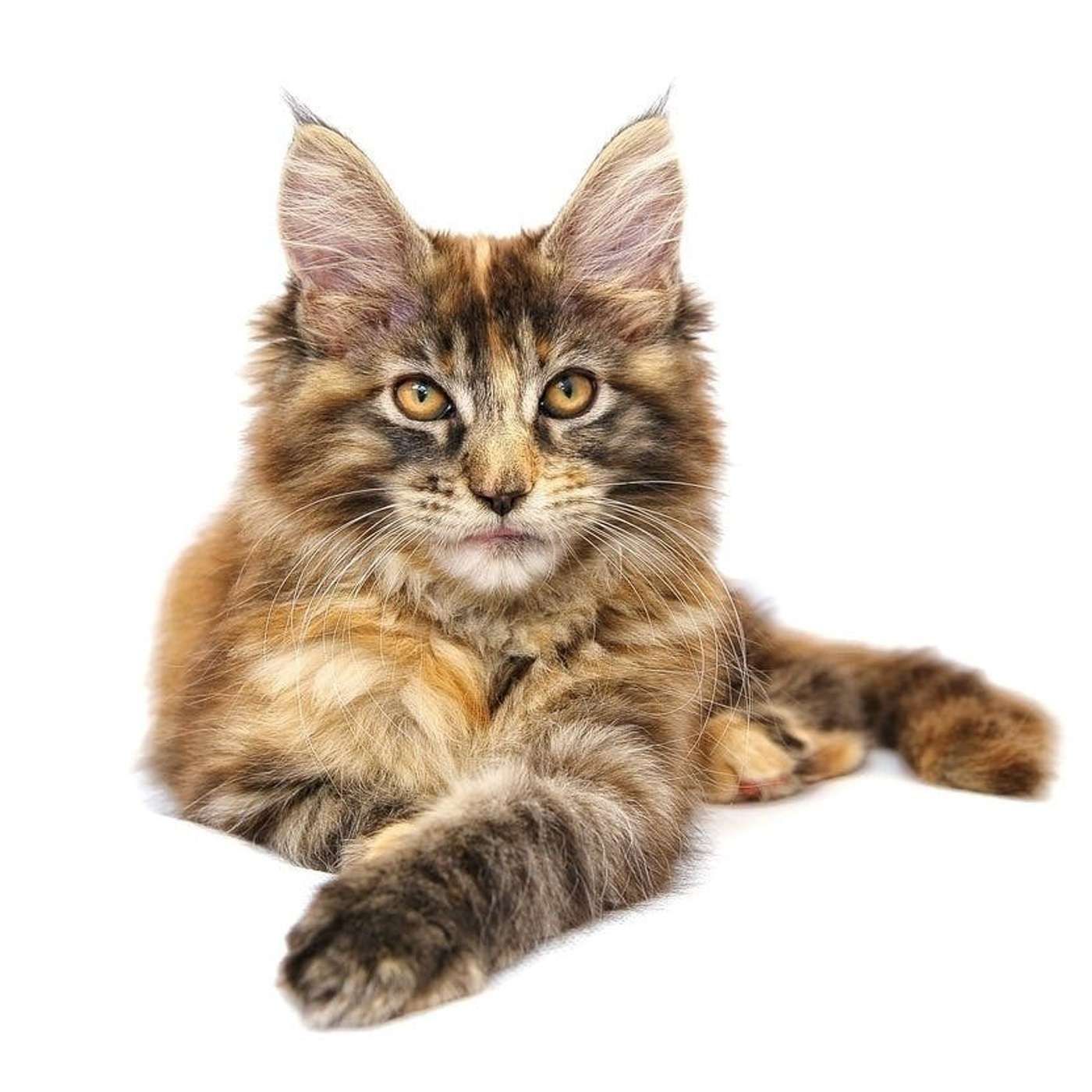 Nature and Science 4 Kids