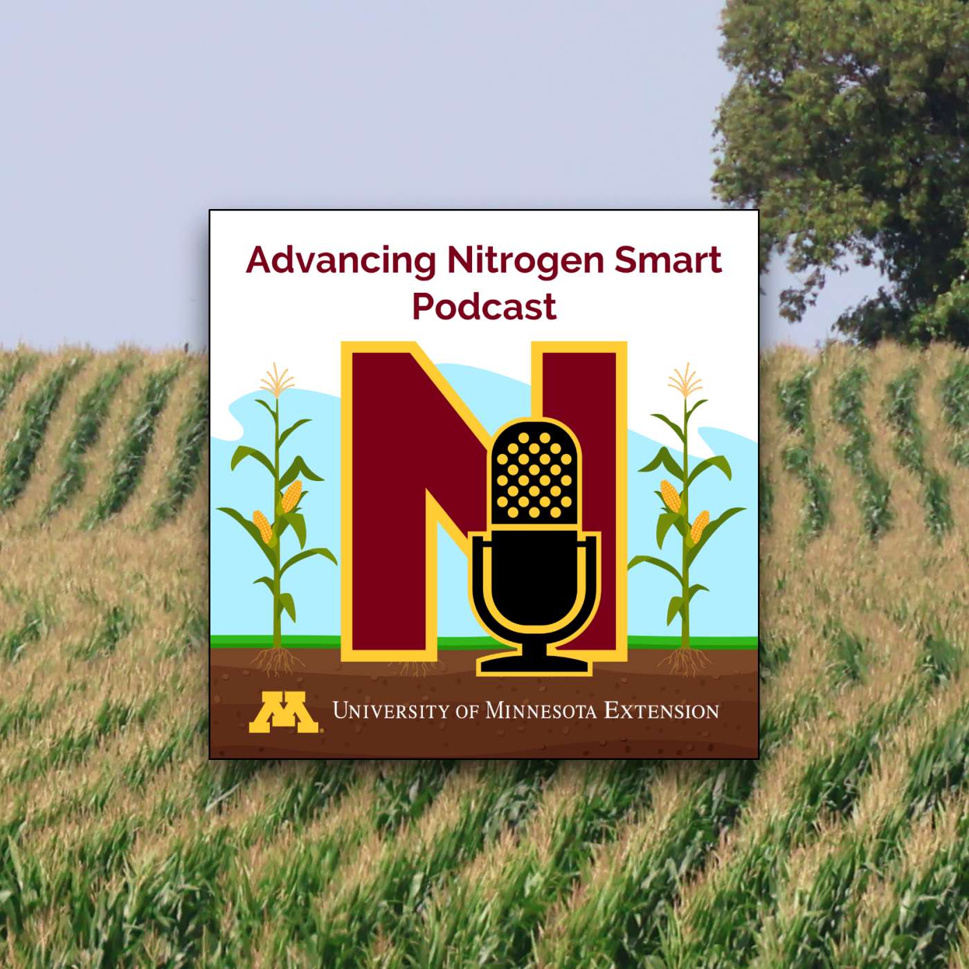 How soil conditions & chemistry affect nitrogen loss How soil conditions & chemistry affect nitrogen loss