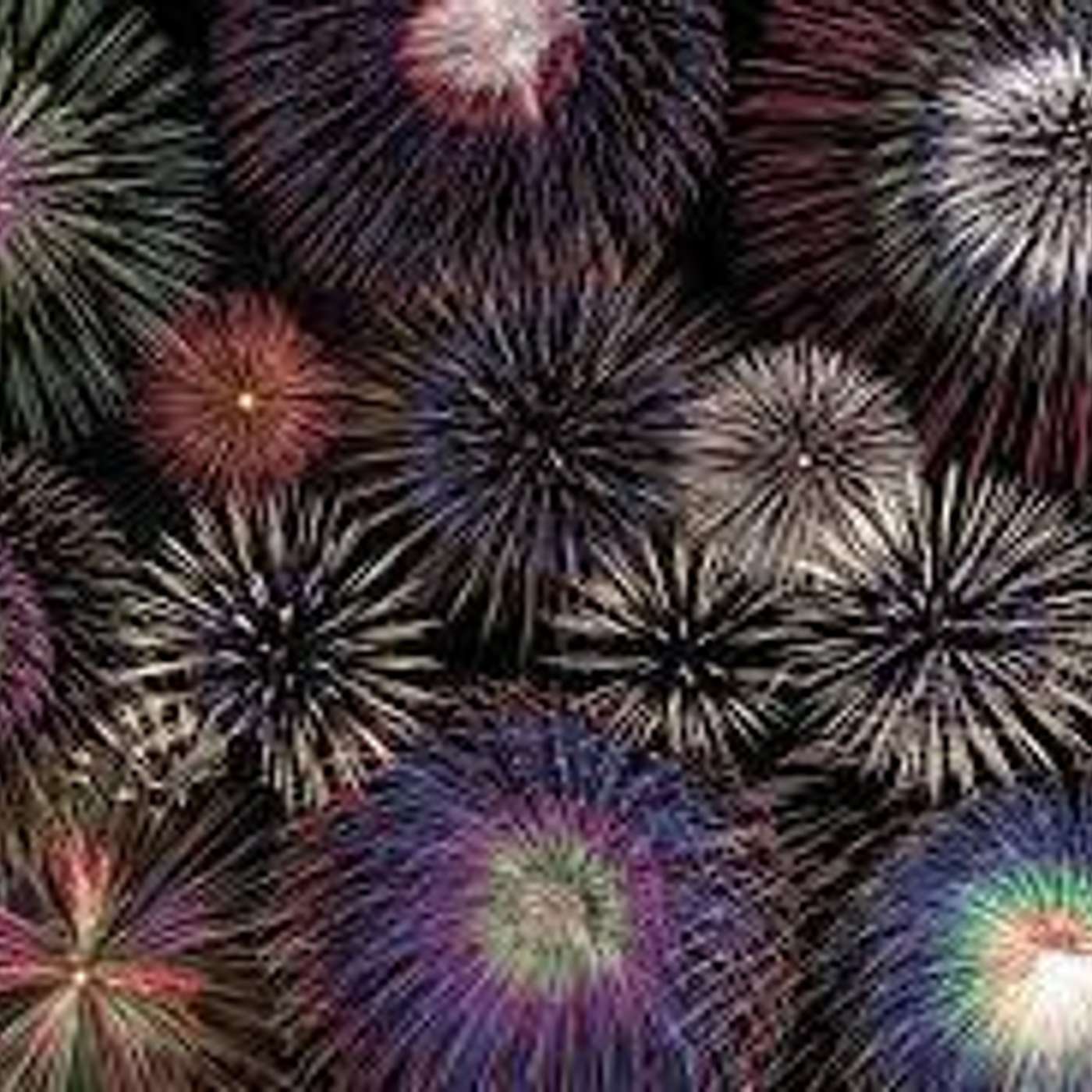 #197: Celebrating the Willennium