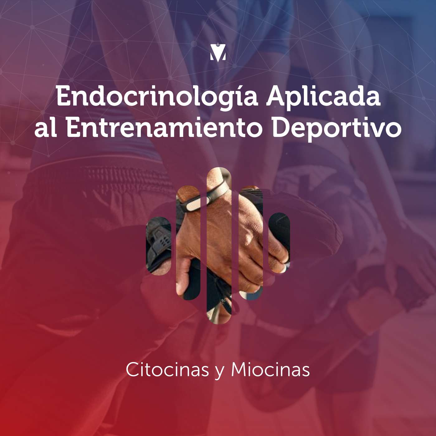 14 - ENDOCRINOLOGÍA APLICADA AL ENTRENAMIENTO DEPORTIVO: Citocinas y Miocinas episode artwork