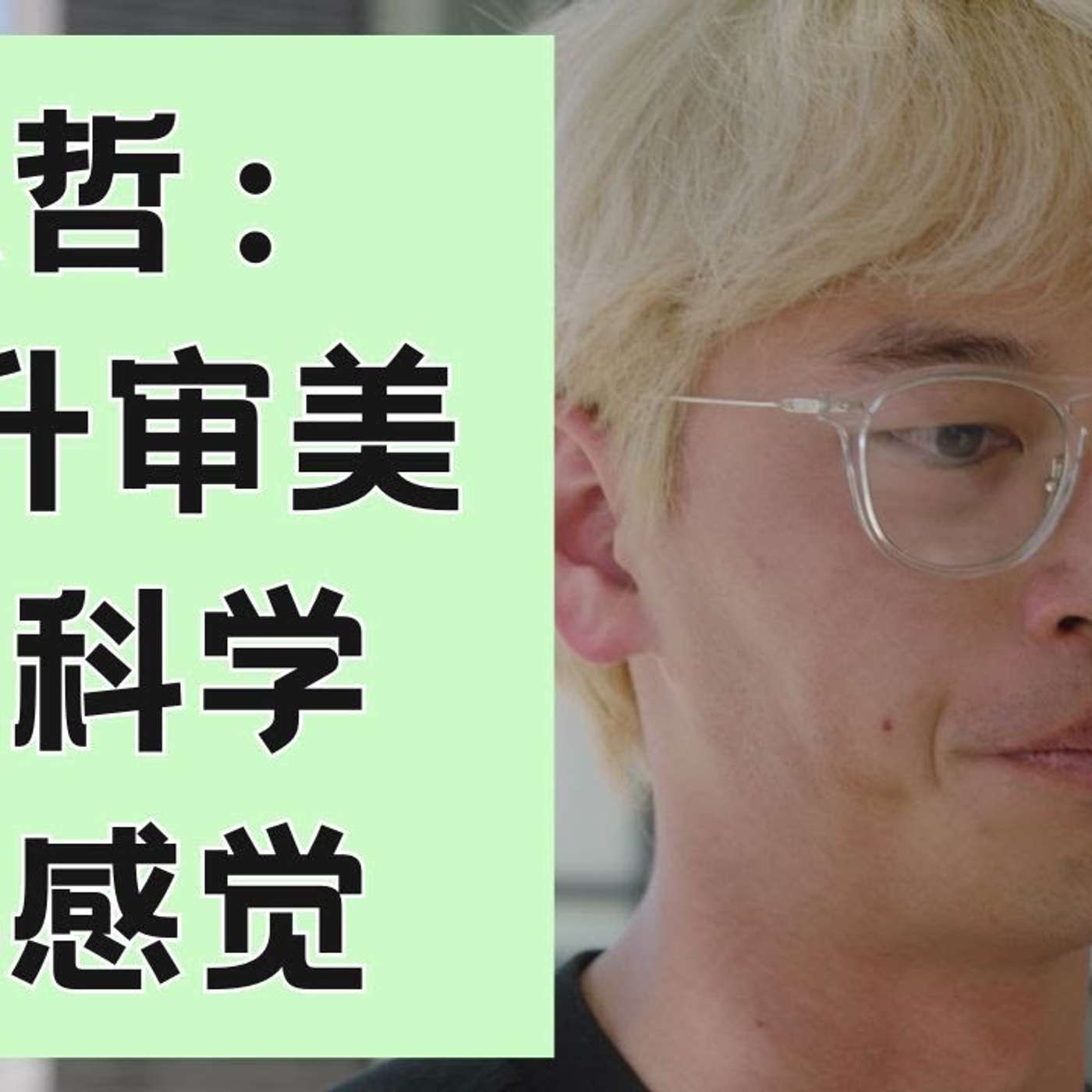 EP250_如何用四个周末获得高级审美？｜陈哲访谈_上