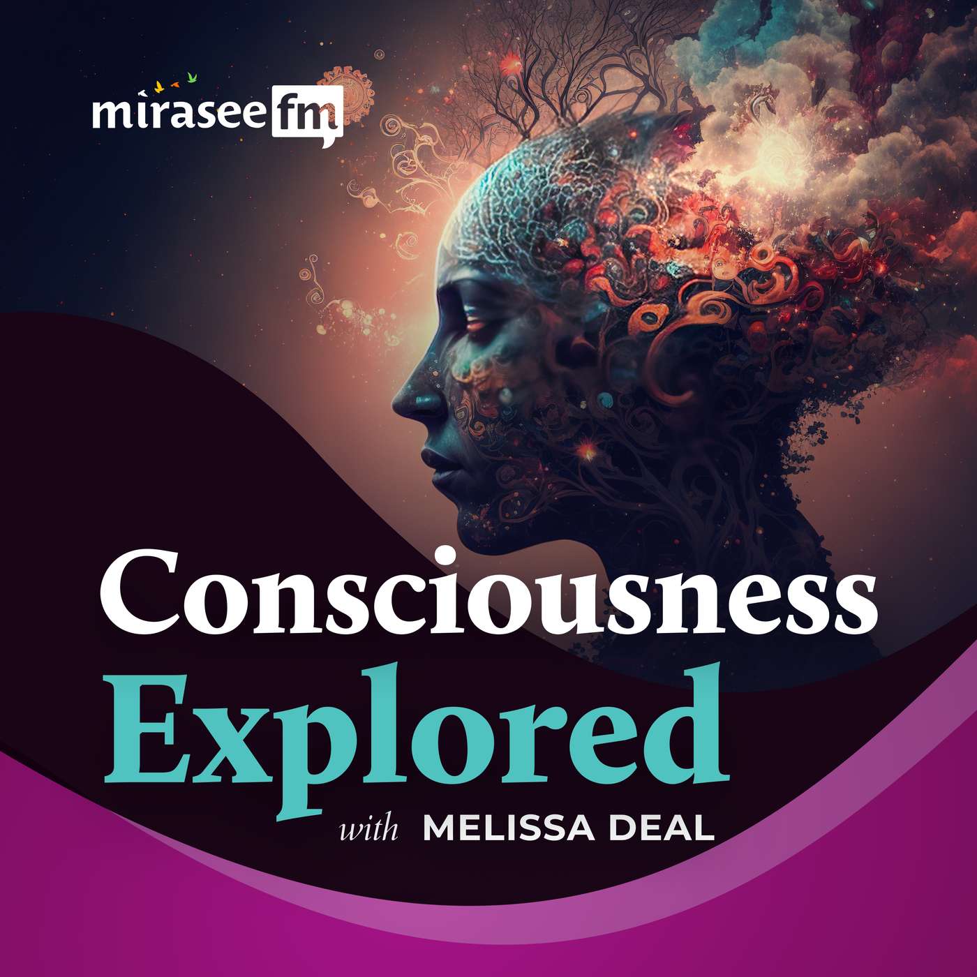 Consciousness Explored cover