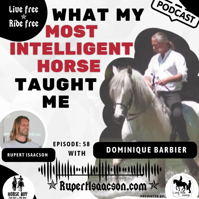 What My Most Dangerous Horse Taught Me About Letting Go | Dominique Barbier 