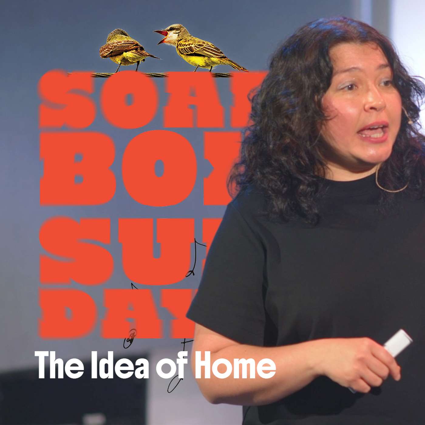 The Idea of Home - Yelena Pakhomova episode artwork