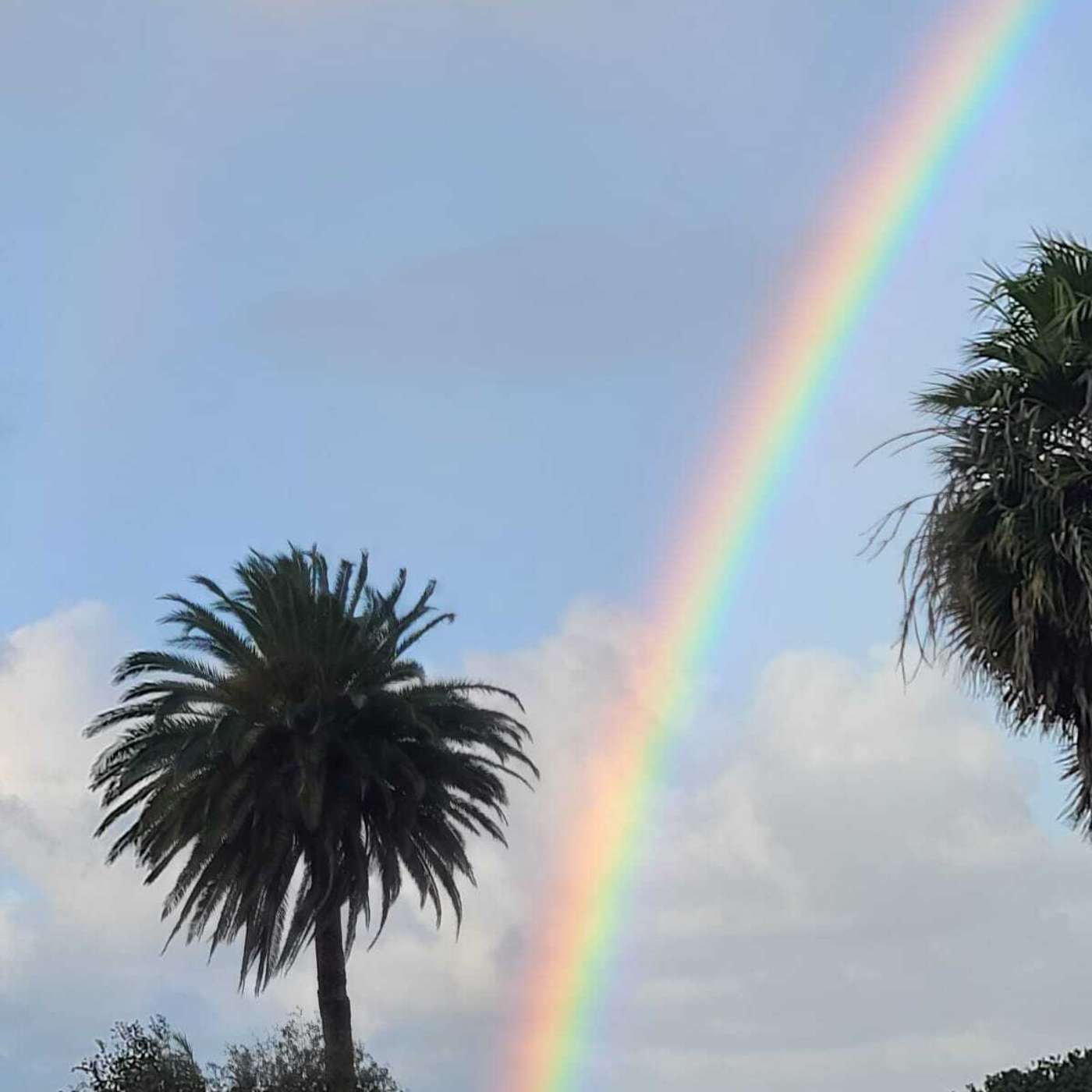 Biz Whip Podcast Show