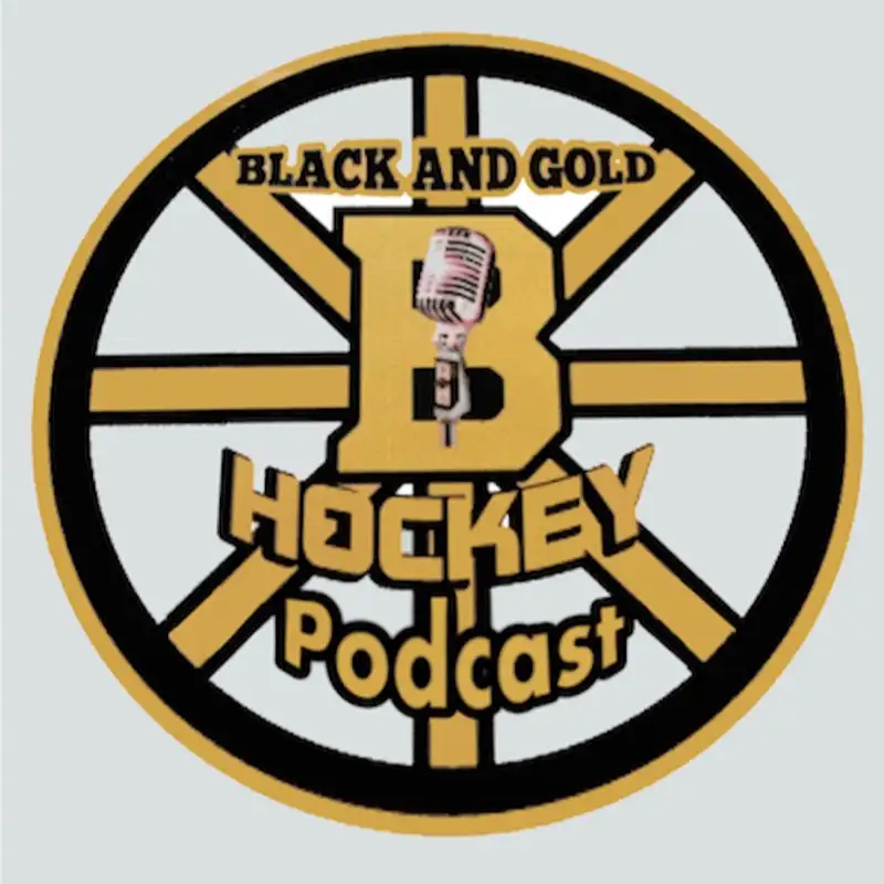 Black N' Gold Hockey Podcast #14  5 - 28 - 16