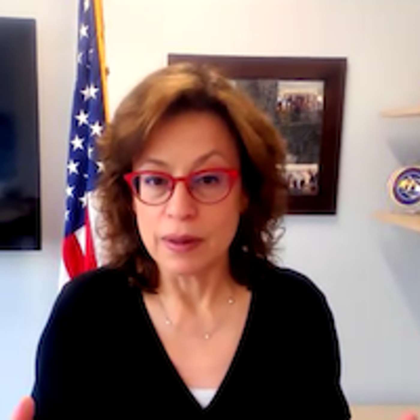 FCC Commissioner Decries Government Assault on Free Press