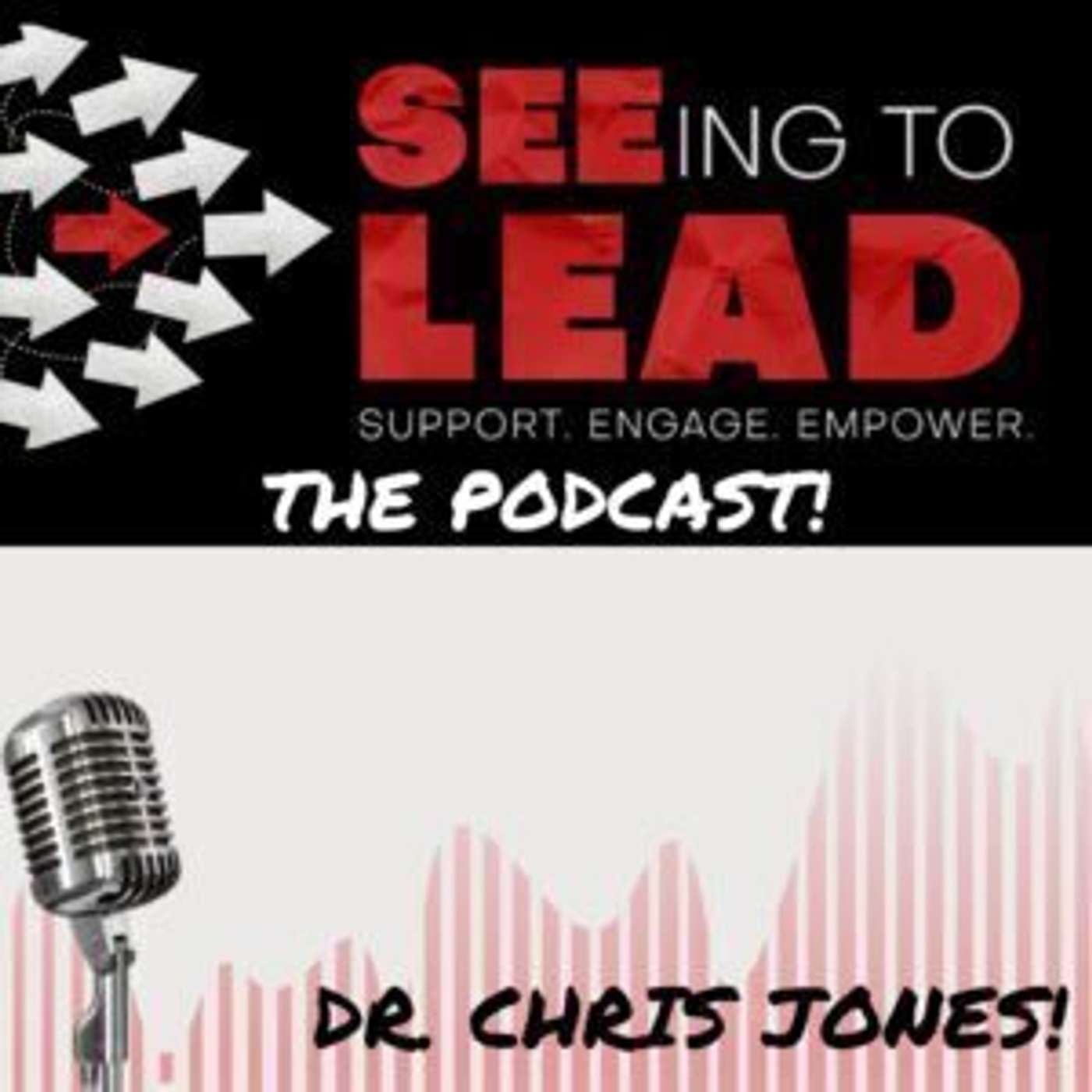 BONUS: SEEing to Lead: Seeing the whole staircase (with Dr. Karen Dudek-Brannan)