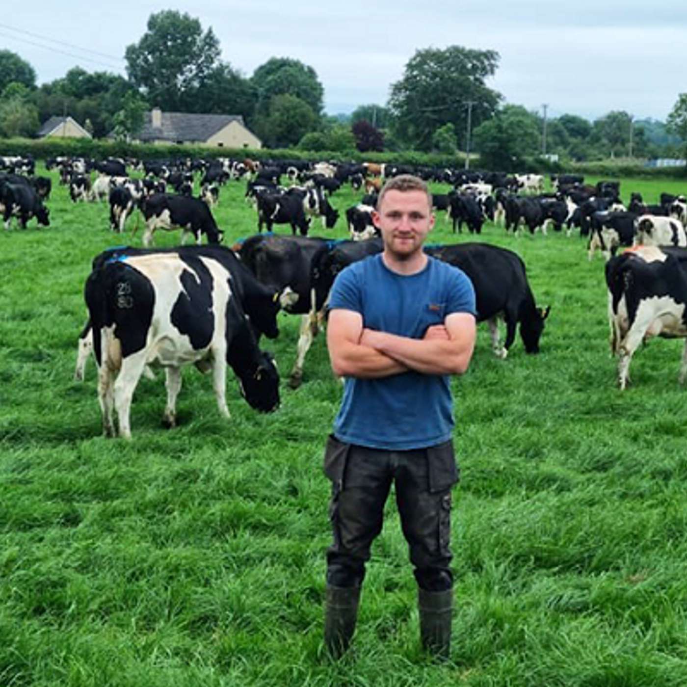 From Relief Milker to Dairy Farmer: Cian Jobe's Journey into Dairy Farming