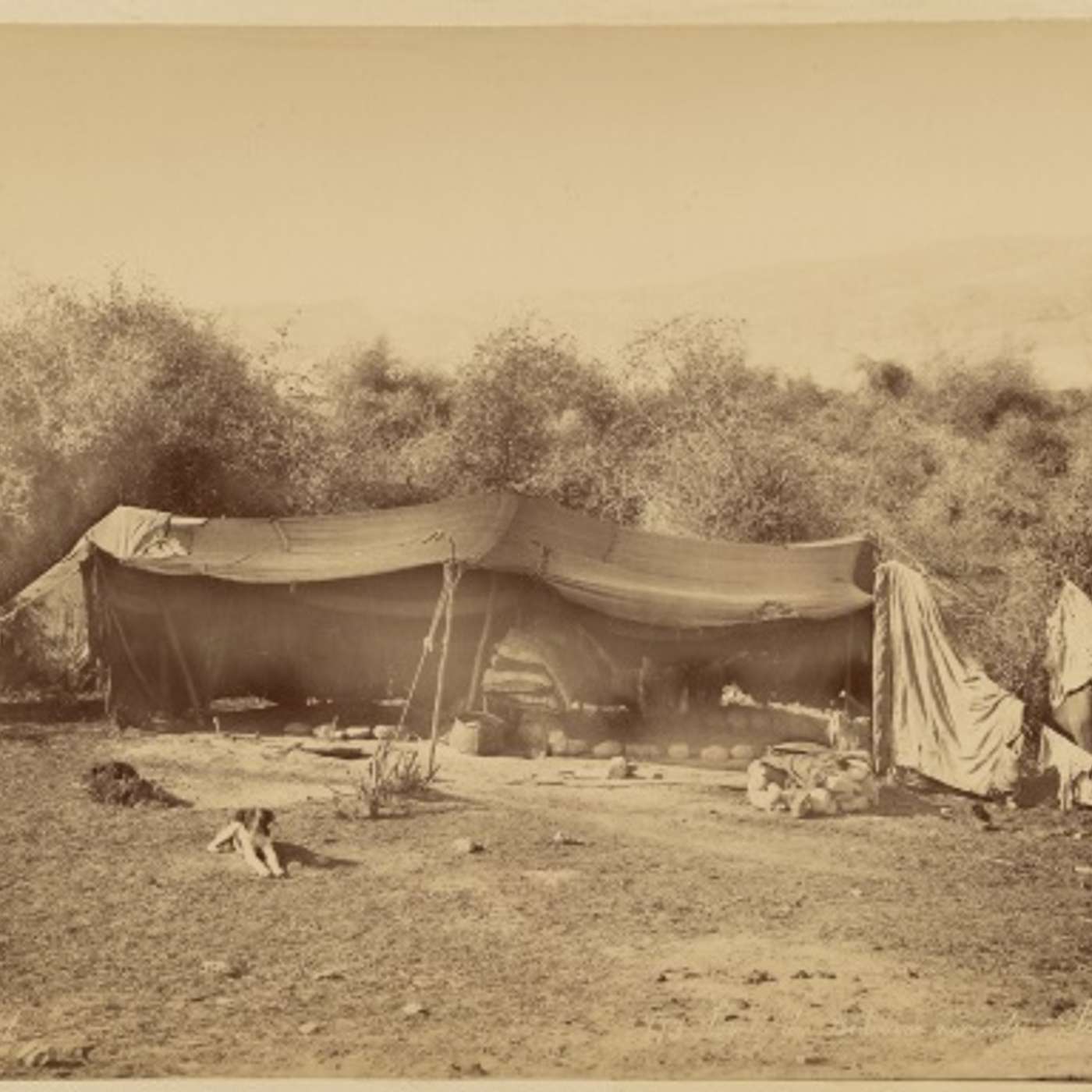 Imagine Moving With Tents episode artwork