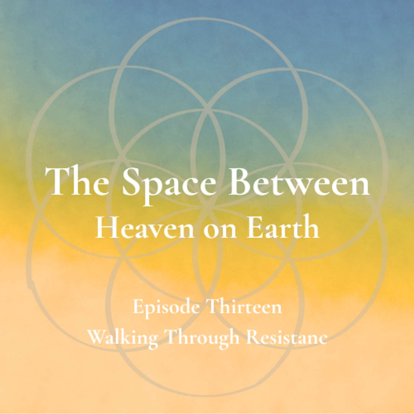 The Space Between - Episode 13 - Walking Through Resistance episode artwork