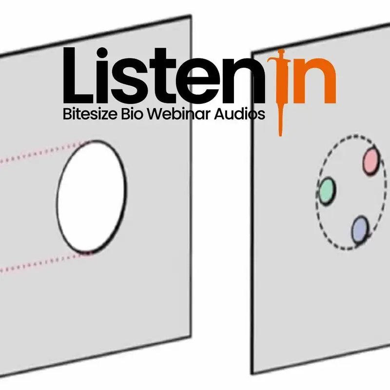 Fast Module for ZEISS LSM 880 with Airyscan Superresolution