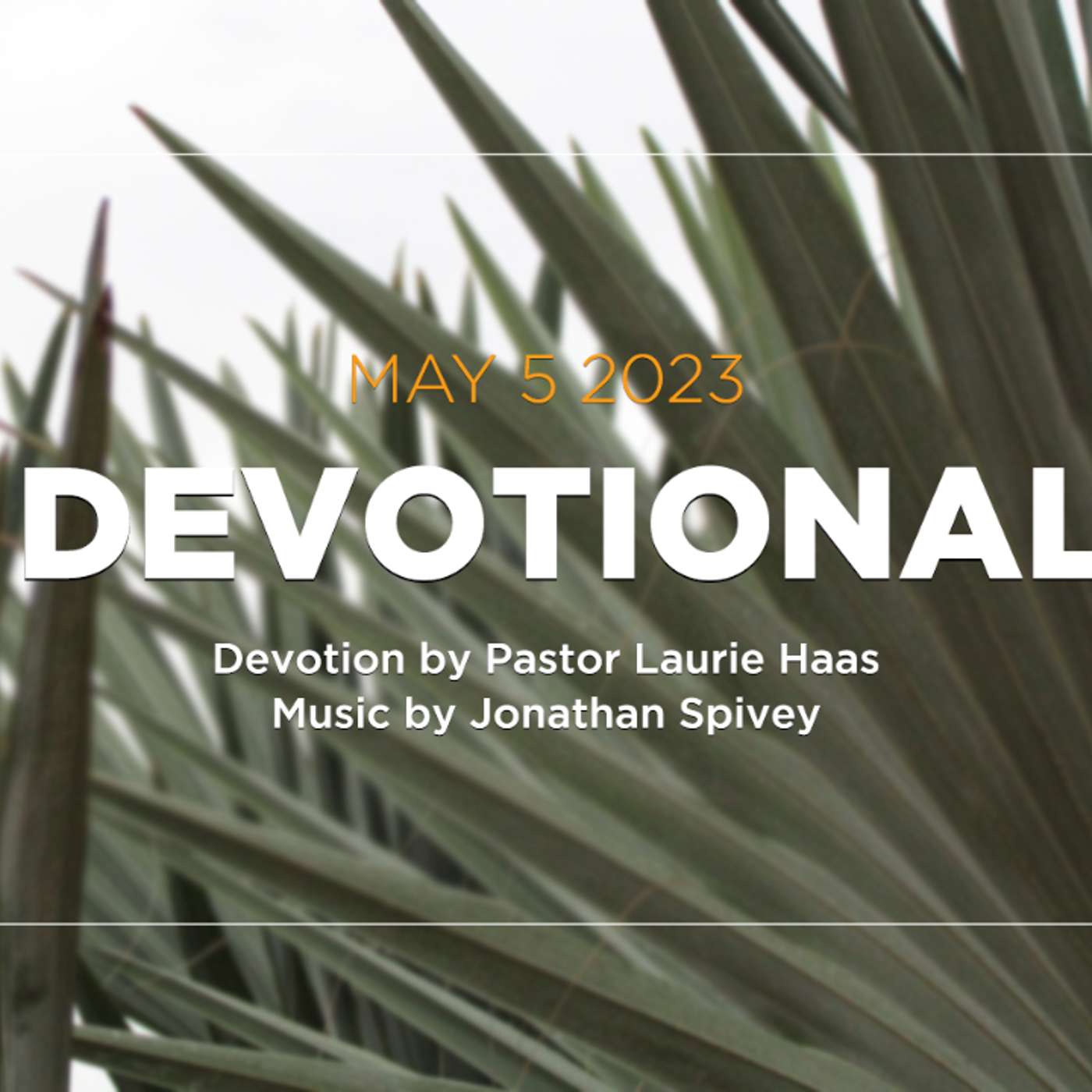 Devotion for May 5, 2023 with Pastor Laurie Haas episode artwork