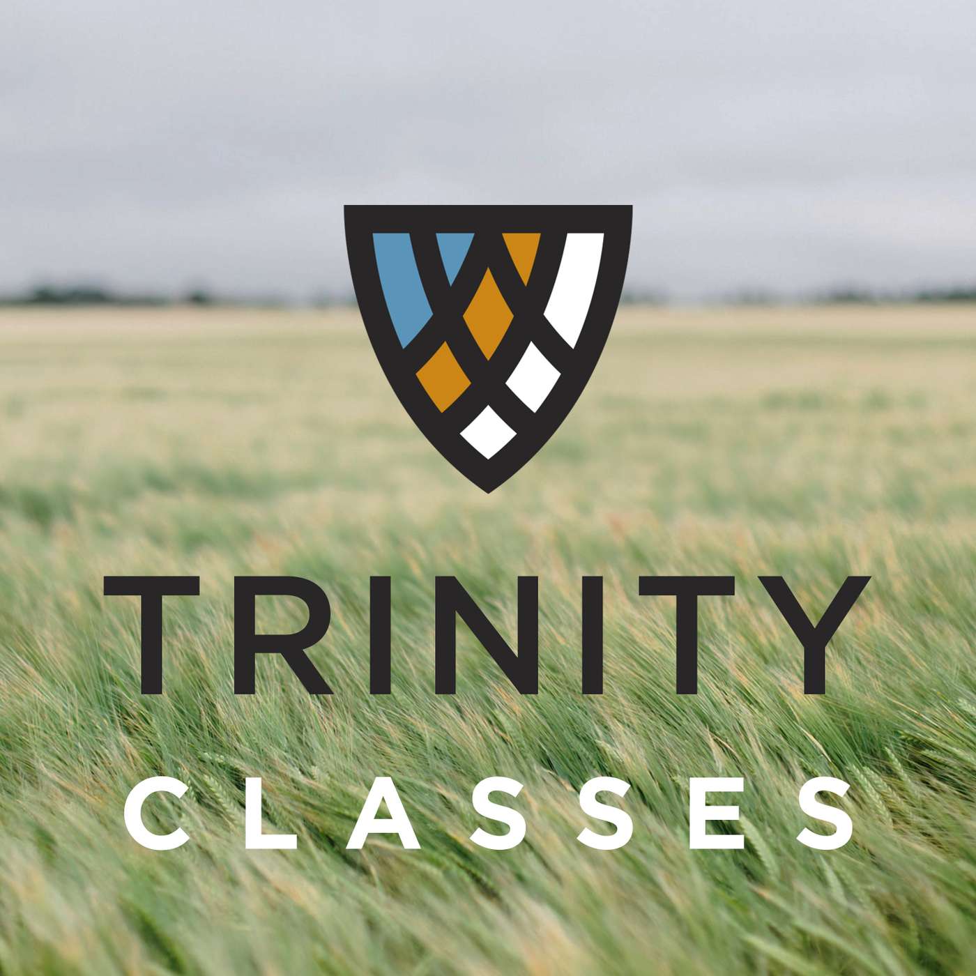 Church History (Week 13)