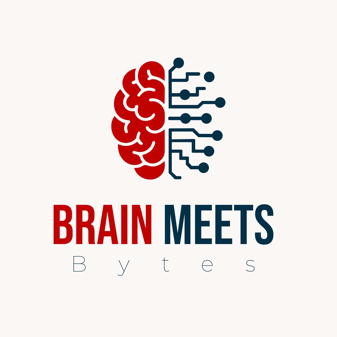 Brain Meets Bytes cover art
