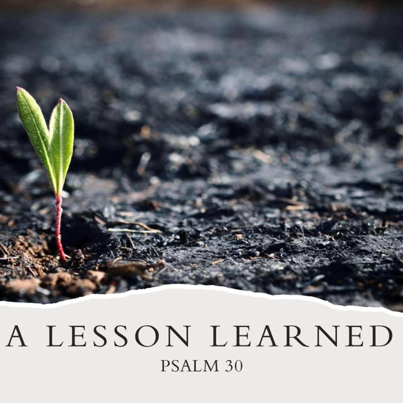 A Lesson Learned | 08/24/25 Afternoon Service