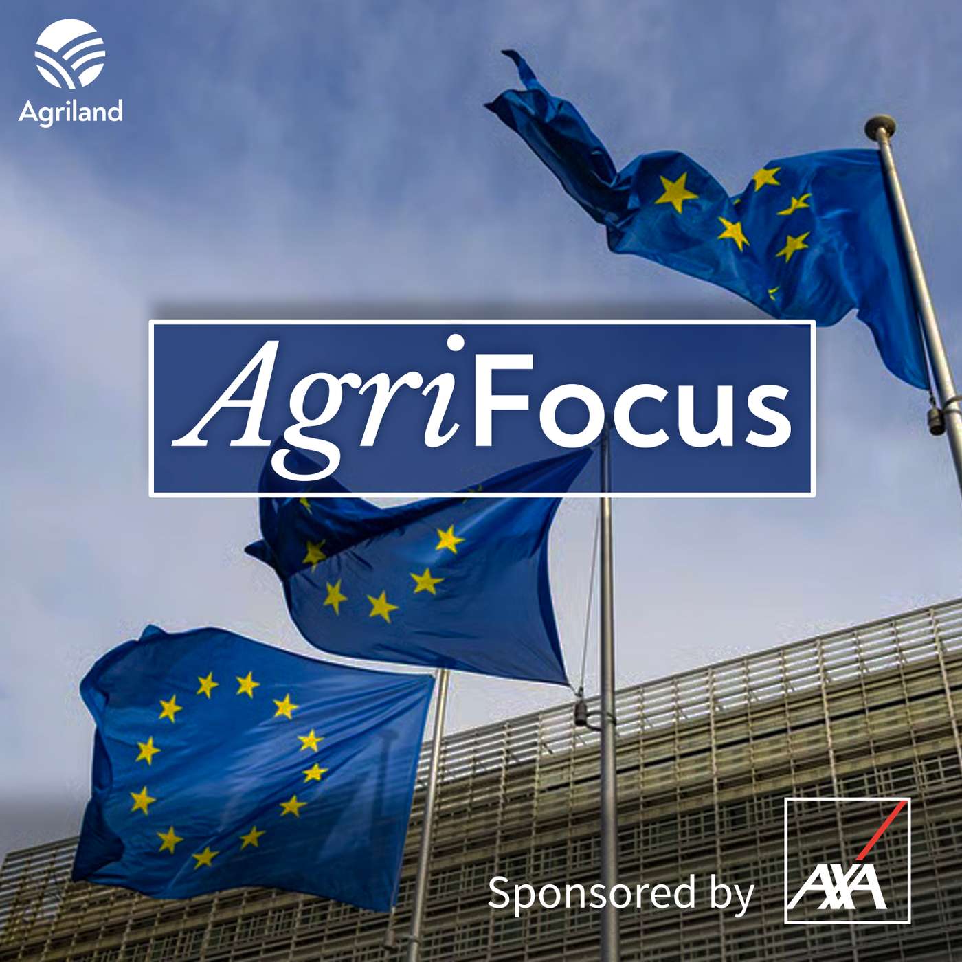 AgriFocus: What next for the EU Mercosur trade deal