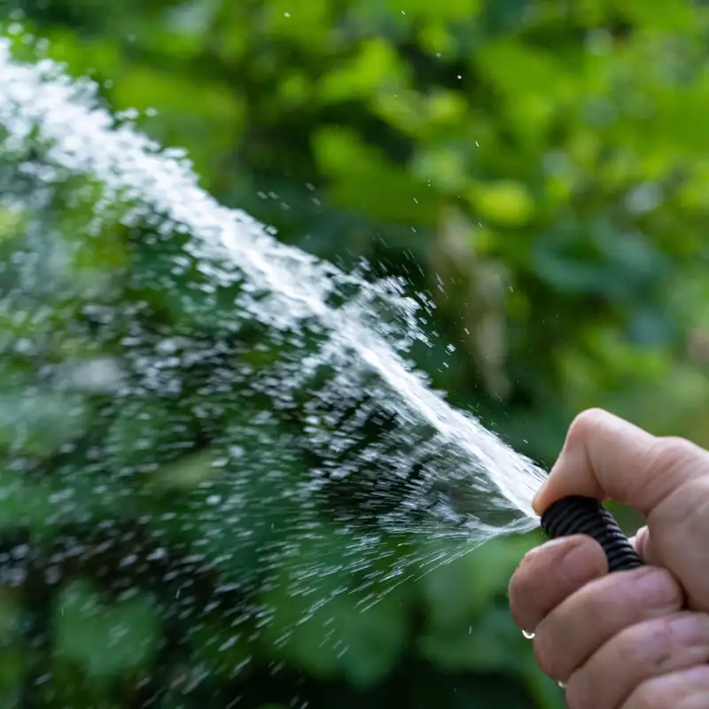 Irrigation Systems for Fruit Trees