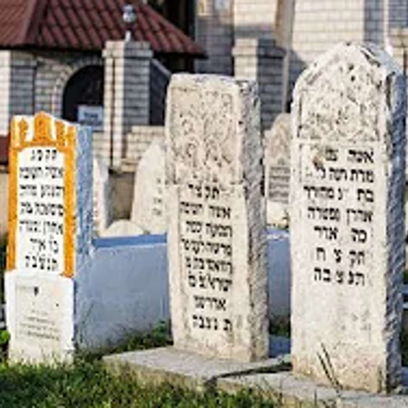 החסידות כמסירות נפש יום יומית ▪️ התוועדות עם הרב נחמנסון ▪️ (תל אביב)***