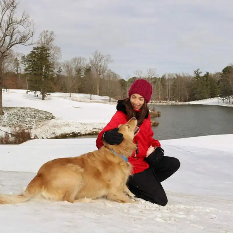 Costco: Uma experiência americana 🇺🇸
