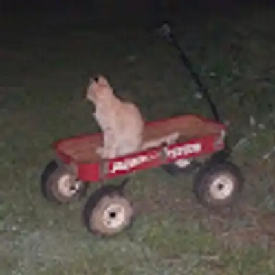 image of podcast supporter