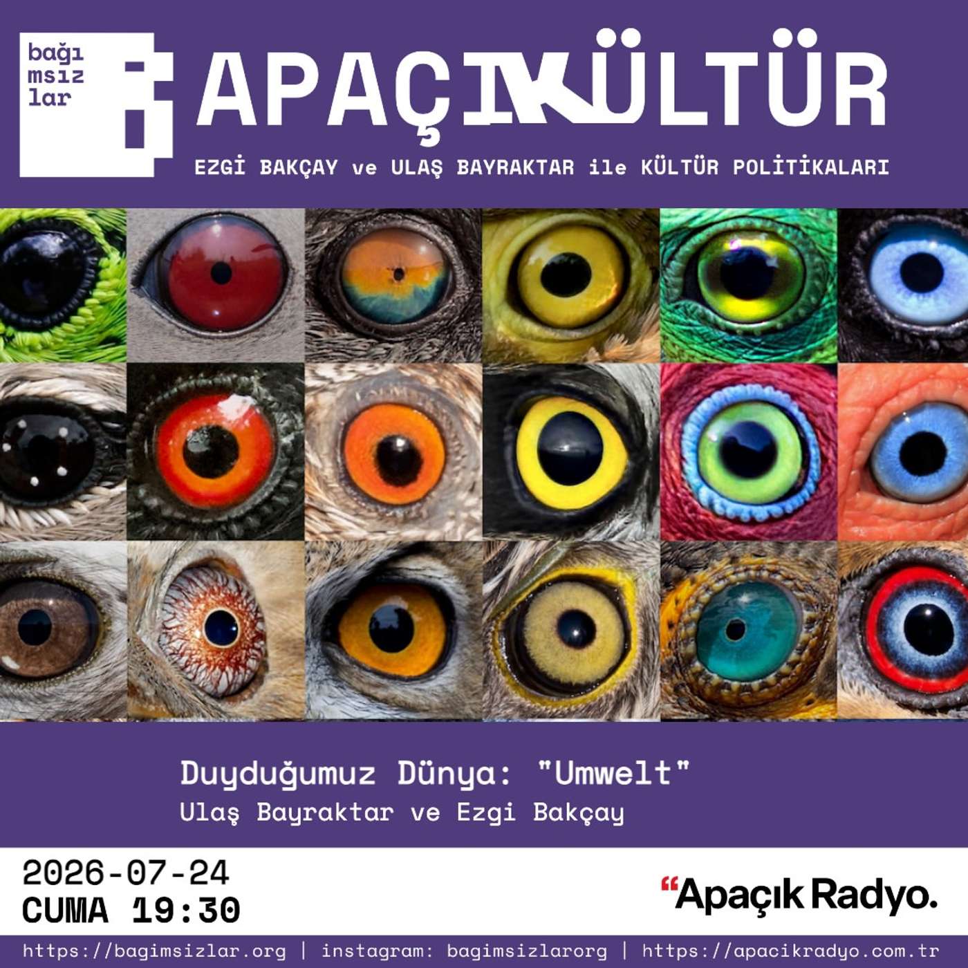 Duyduğumuz Dünya: “Umwelt” episode artwork