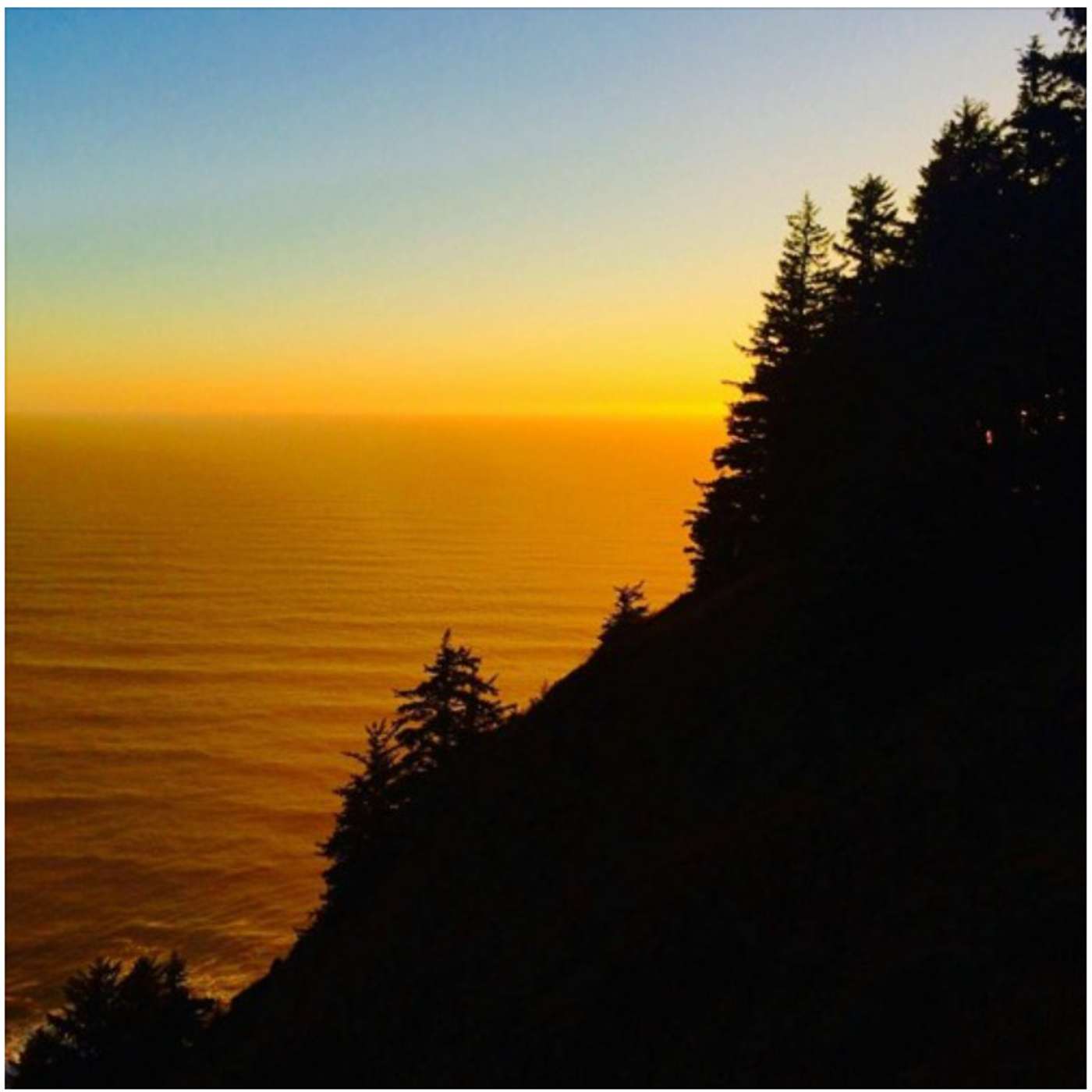 The Blessing and Fixing of the Medina (3)