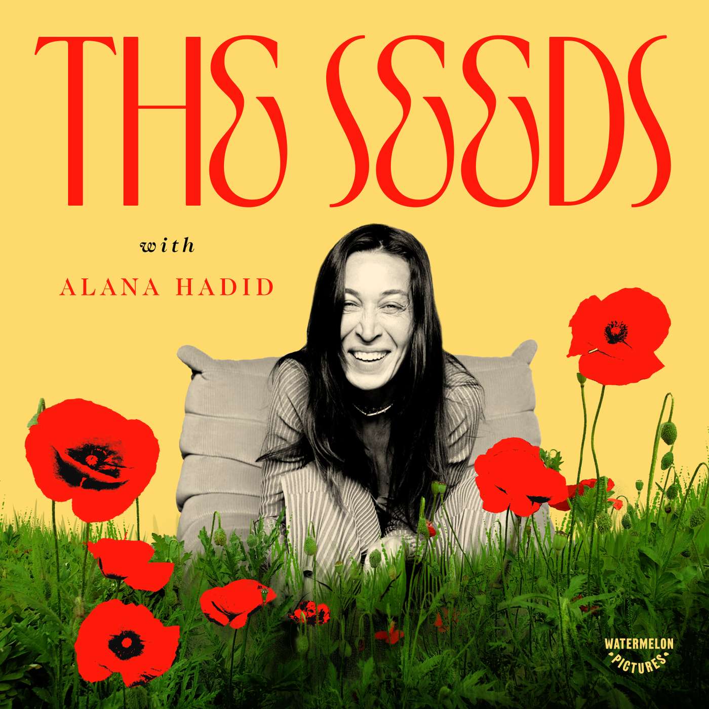 The Seeds podcast artwork