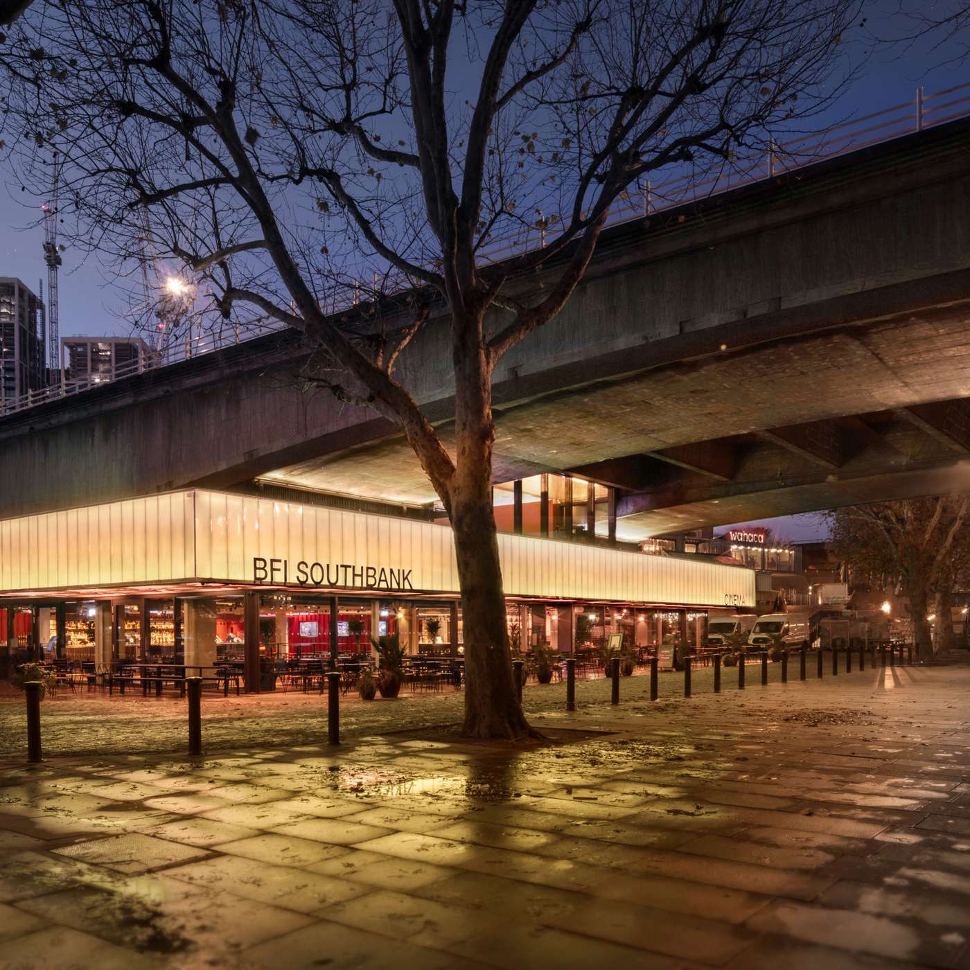 Opinion: BFI We Crip Film Festival - a mainstreaming of crip sensibilities? episode artwork