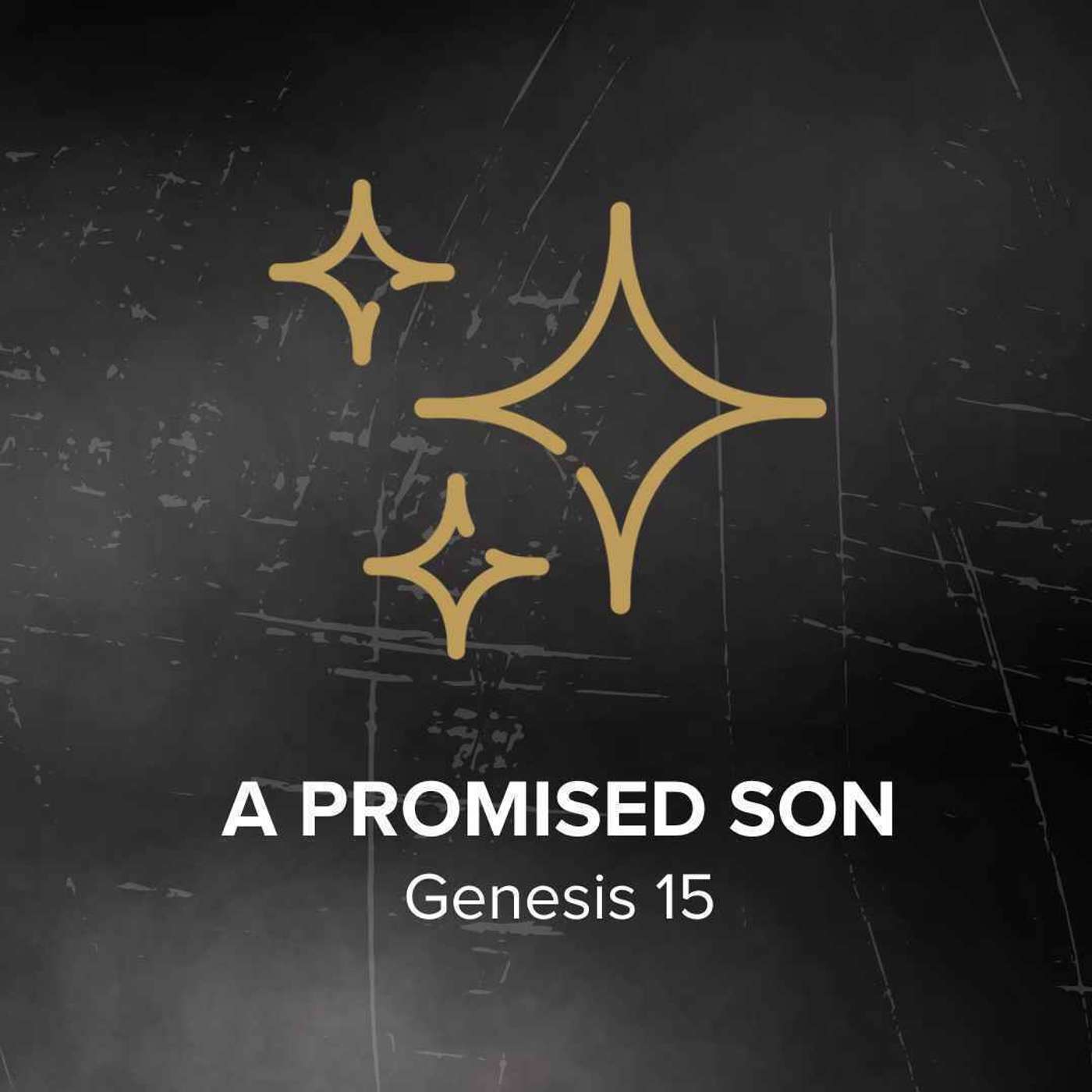 Jesus on Every Page: A Promised Son episode artwork