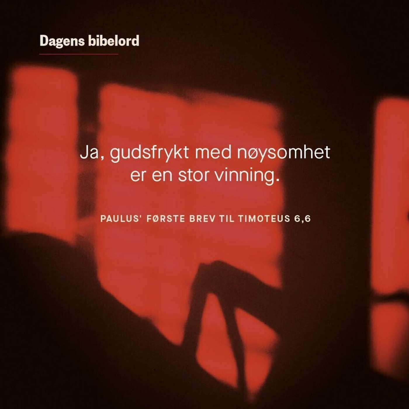 Dagens bibelord 21. juli 2023 - 1 Tim 6,6–10 episode artwork