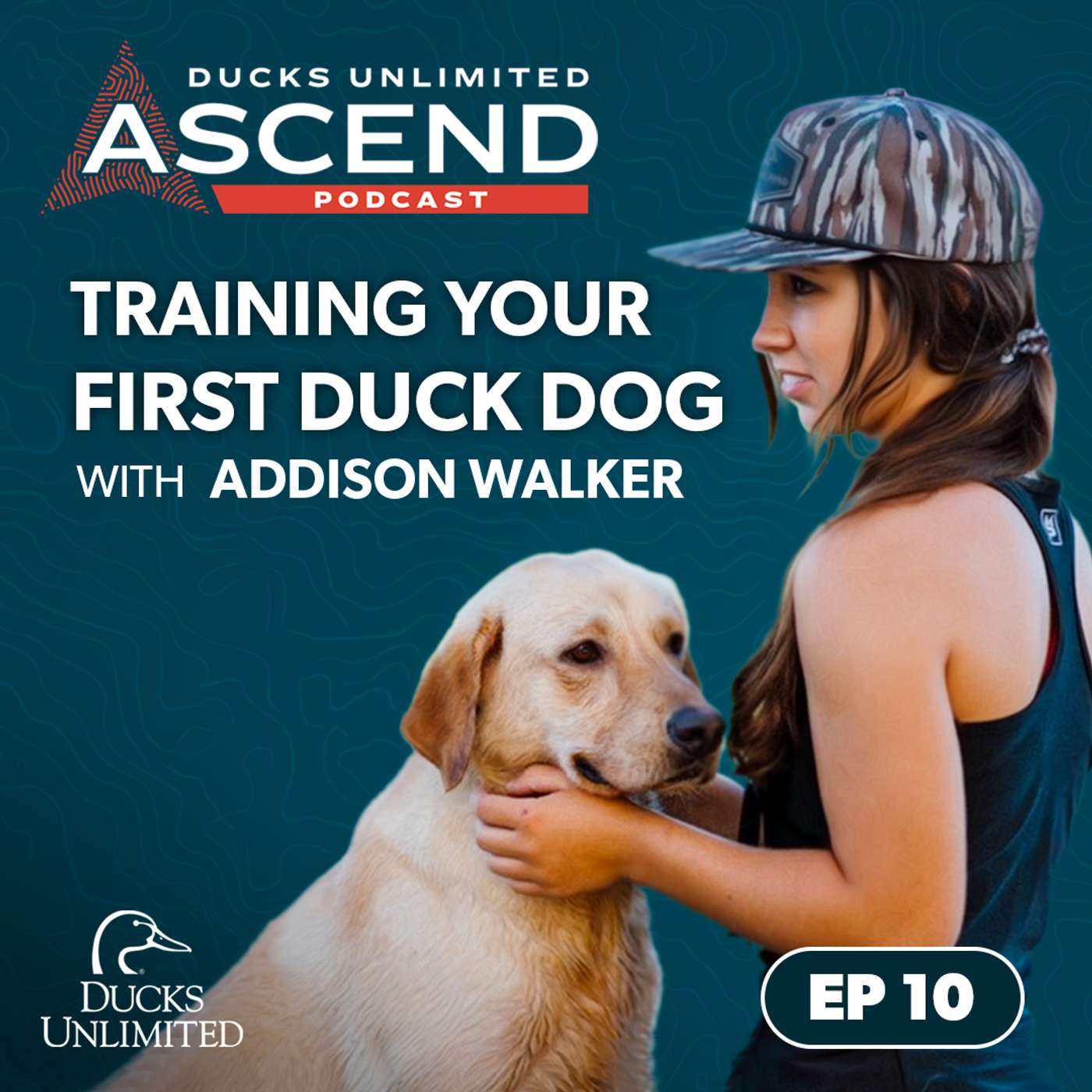 ASCEND by Ducks Unlimited